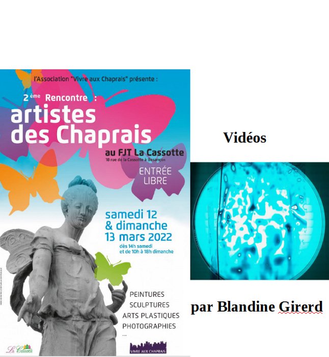 Blandine Gired artiste des Chaprais