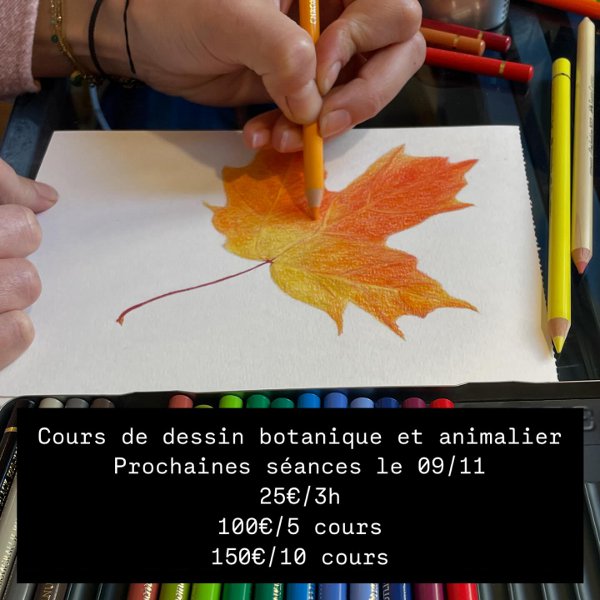 cours de dessin Abigail