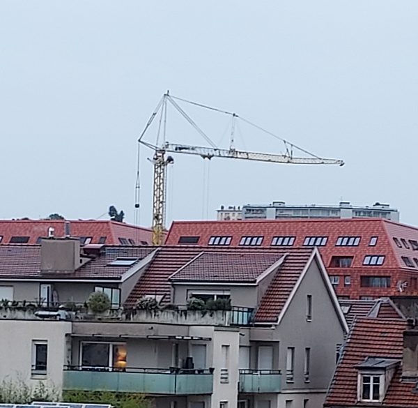 grue éphémère le 18 octobre à la Viotte